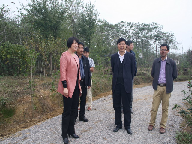 县政协秘书长李敬,马厂镇党委书记赵文霞陪同调研.